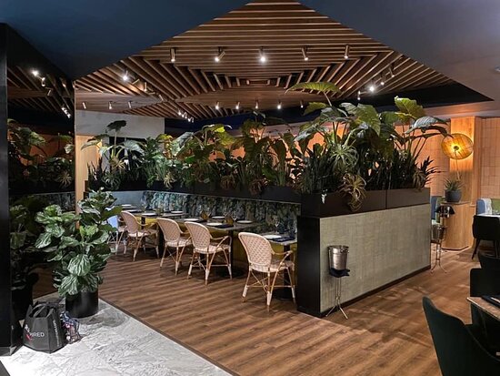 Decorative lighting supplier Decorative lighting supplier