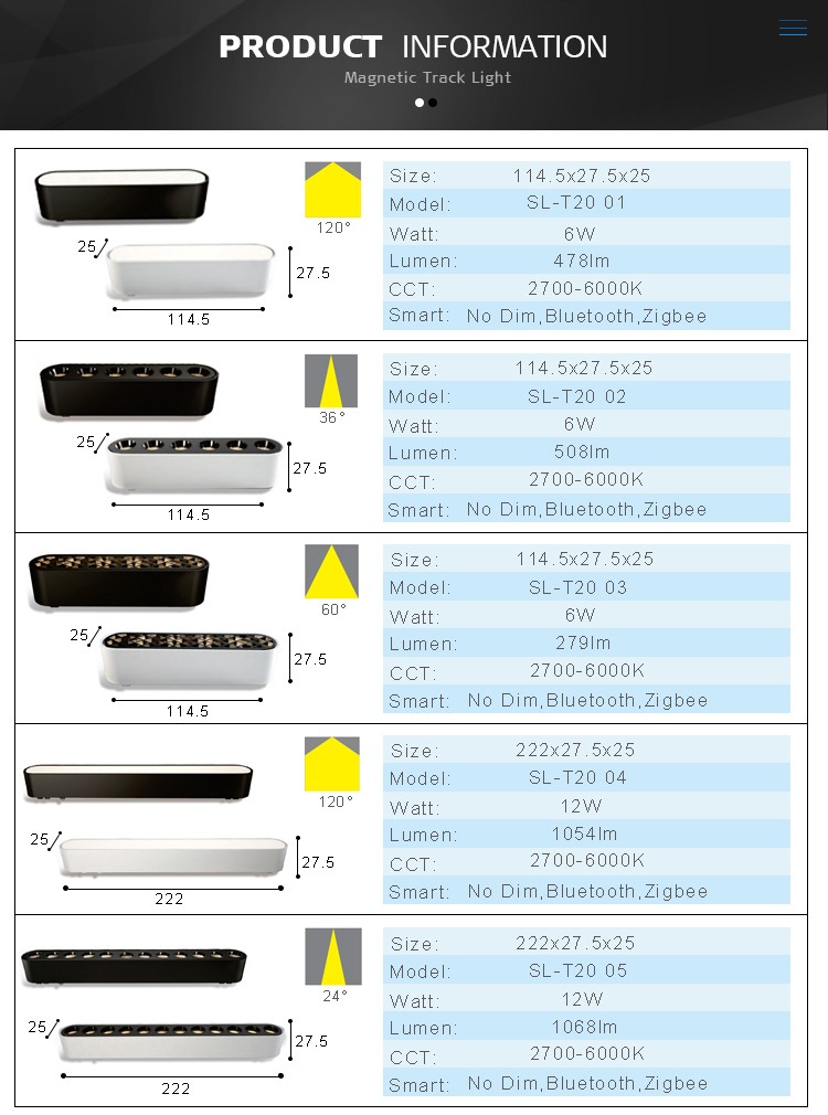 track ceiling lights