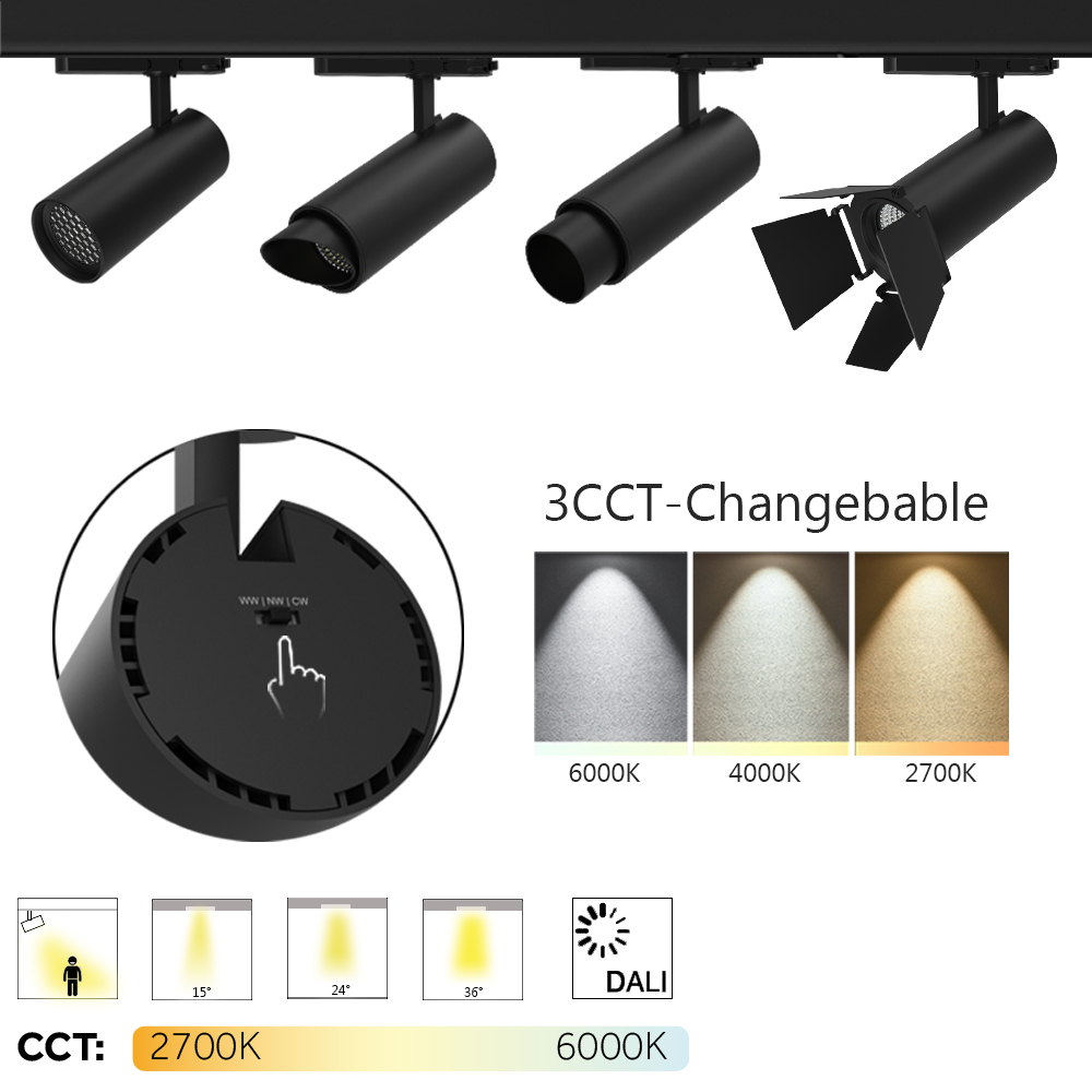 barn door track lighting