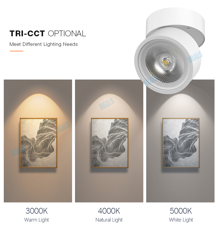 big light company big light company