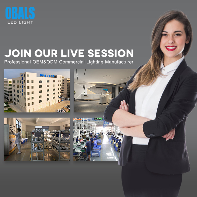 led light oem supplier