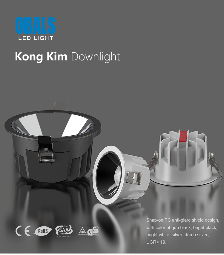 downlight led ip65