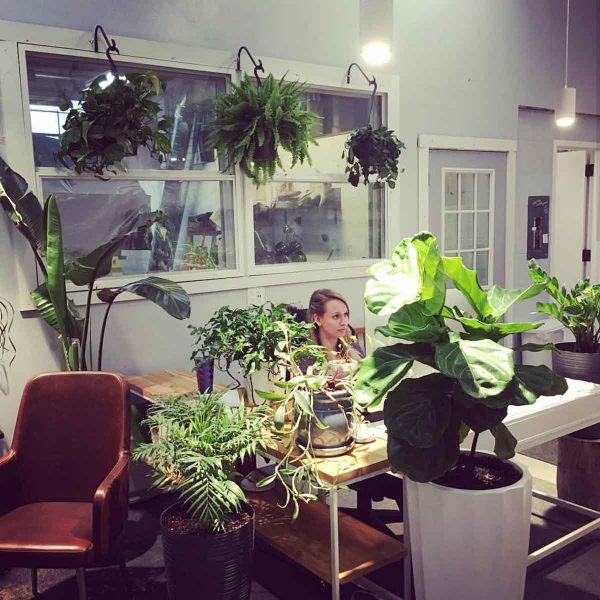 Trunking lighting system Trunking lighting system