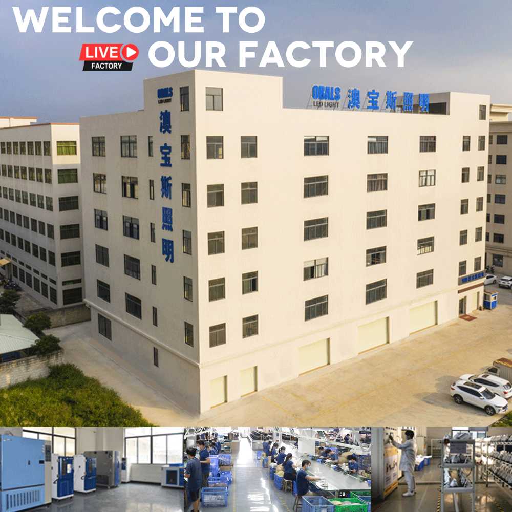 Zhongshan Lighting Factory Zhongshan Lighting Factory