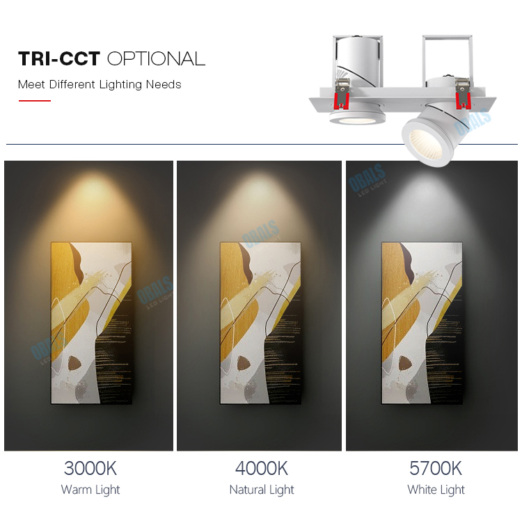 Recessed Magnetic Track Lighting