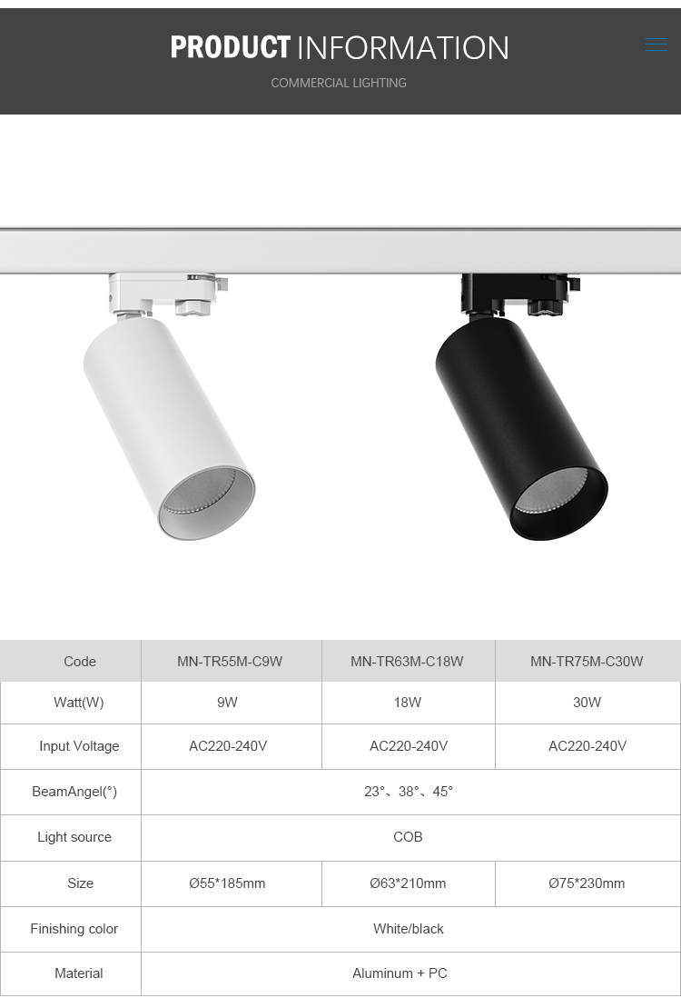 Making Industrial Lighting Making Industrial Lighting
