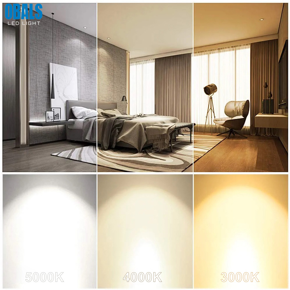 China Adjustable Lighting