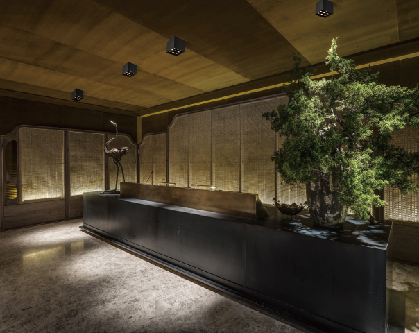 5000K LED Track Lighting