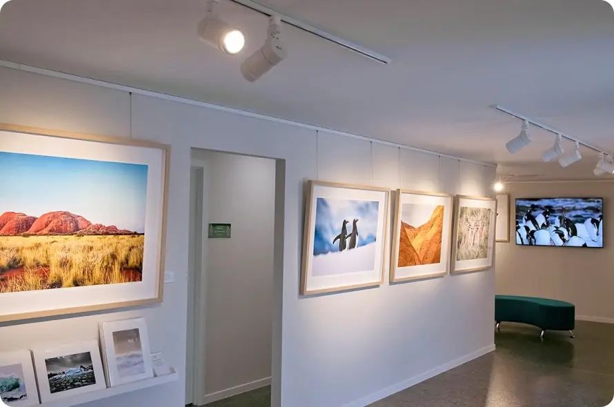 track lighting industrial