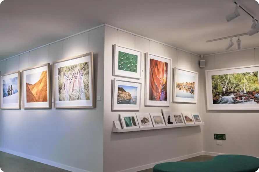 led track lights dimmable