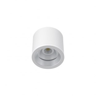 ZY-EX Ceiling Light