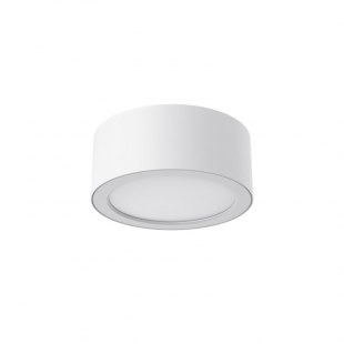 XF-EX 3-CCT Ceiling Light