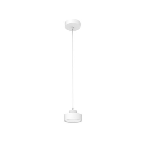 NS-SL-S Surface Mounted Pendant Light