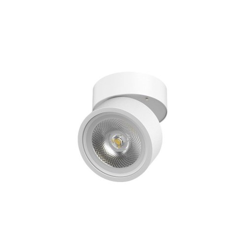 NS-EX05TM-C Adjustable Ceiling Light