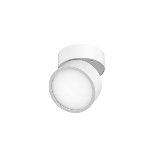 NS-EX05TM-S Adjustable Ceiling Light