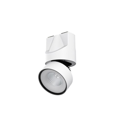 JL-EX Adjustable Ceiling Light