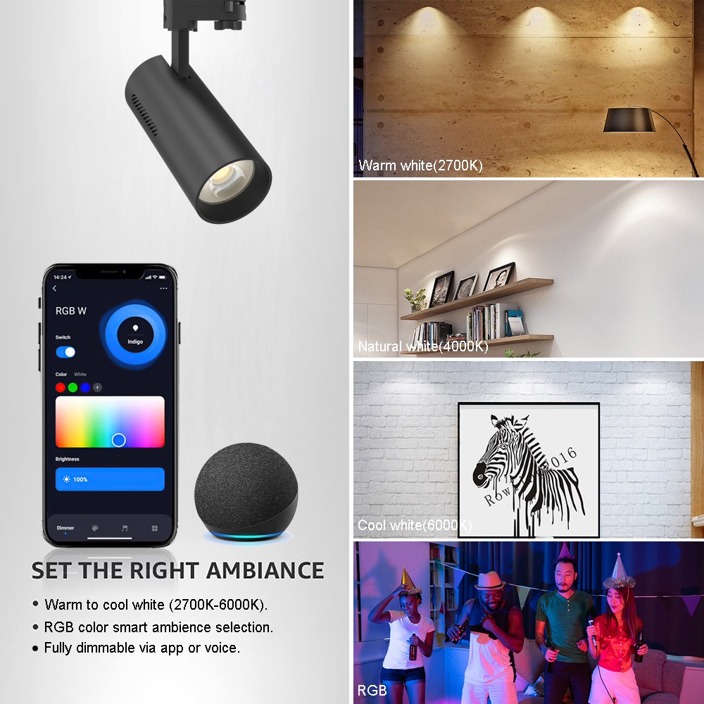 RGB Track Lighting